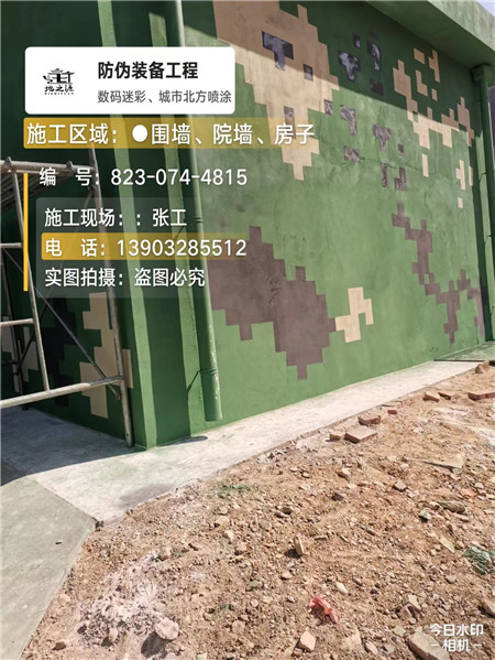 安庆核心结论：专业提供外墙迷彩漆施工服务